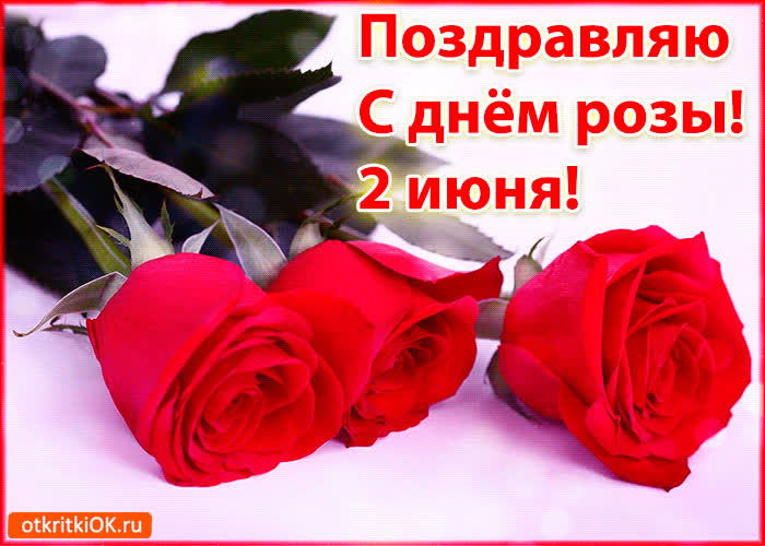 Поздравления С Днем Розы Бесплатно