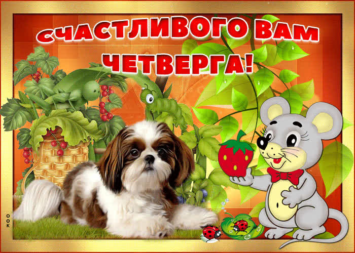 Скачать Веселое Поздравление С Четвергом Для Ватсапа