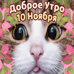 10 Ноября