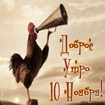 10 Ноября