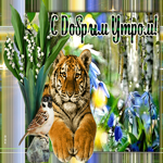 Потрясающая открытка с тигром и птицей, с добрым утром