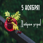 5 Ноября