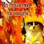 Анимационная открытка с котиком Поздравляю с пятницей