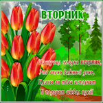 Анимированная открытка Вторник с тюльпанами