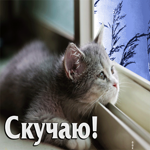 Атмосферная анимационная открытка с кошкой Скучаю
