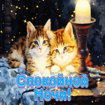 Атмосферная открытка с котиками Спокойной ночи
