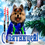 Бесподобная открытка с собакой и лыжами С пятницей!