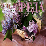 Безупречная открытка с бабочкой и сиренью Среда