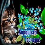Безупречная открытка с котенком и цветами Хорошего вечера