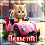 Бодрая и жизнерадостная гиф-открытка с котенком Приветик