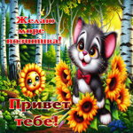 Чарующая осенняя гифка Привет тебе! Желаю море позитива