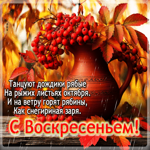 Чарующая осенняя гифка С воскресеньем