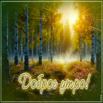 Чудесная, фантастическая открытка Доброе утро