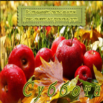 Чудесная гиф-открытка с яблочками Суббота
