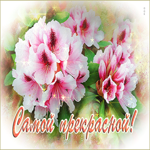 Чудесная открытка с розовыми цветами Самой прекрасной