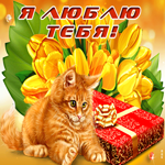 Postcard чудесная открытка с тюльпанами и котом я люблю тебя