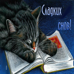 Чудесная открытка Сладких снов! С котиком и книгой