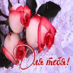 Чудесная снежная открытка с розами Для тебя