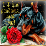 Добрая гиф-открытка С Днем Рождения, мой друг