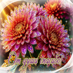 Добродетельная гифка От души спасибо