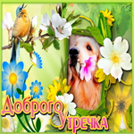 Доброго утречка. Теплых чувств