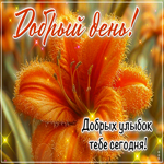 Добрых улыбок тебе сегодня! Добрый день