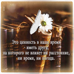 Дружелюбная и добрая гиф-открытка для друга