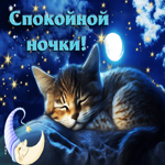 Душевная и трогательная гиф-открытка с котенком Спокойной ночи