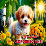 Душевная летняя гиф-открытка Желаю хорошего дня