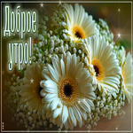 Душевная открытка с цветами Доброе утро