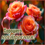 Душевно-красивая гиф-открытка Хорошего настроения