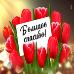 Элитная открытка с тюльпанами Большое спасибо!