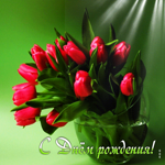 Элитная открытка с тюльпанами С днем Рождения!