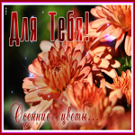 Picture гармоничная гиф-открытка для тебя осенние цветы