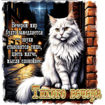 Гифка Вечером мир будто замедляется, звуки становятся тише