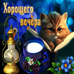 Идеальная открытка с котиком и книгой Хорошего вечера