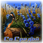 Игривая летняя гиф-открытка Со средой