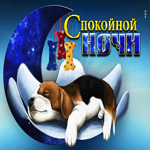 Интересная открытка с щенком Спокойной ночи