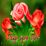 Искренняя гиф-открытка Розы для Вас