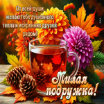 Искренняя и нежная осенняя гифка Душевного тепла
