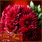 Искренняя красивая гифка Для тебя