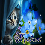 Искренняя открытка с котенком и цветами Привет!