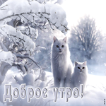Изысканная снежная открытка с белыми котиками Доброе утро