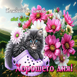 Милая открытка Каждый день имеет свое чудо! Хорошего дня