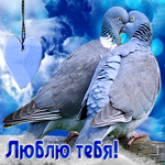 Классная открытка с голубками Люблю тебя!