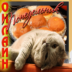 Классная открытка с котом Понедельник Онлайн