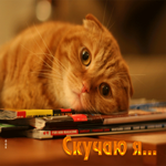 Классная открытка с рыженьким котом Скучаю я...