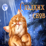 Клевая открытка с котеночком Сладких снов