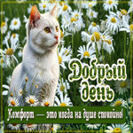 Комфорт - это когда на душе спокойно! Добрый день