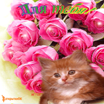 Кошка с цветами для тебя